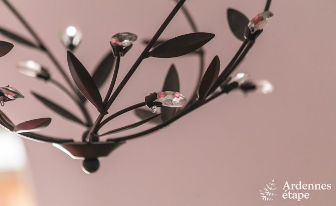 Vakantiehuis in Vielsalm voor 6 personen in de Ardennen