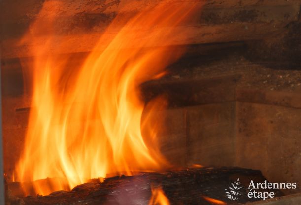 Vakantiehuis in Vielsalm voor 17 personen in de Ardennen