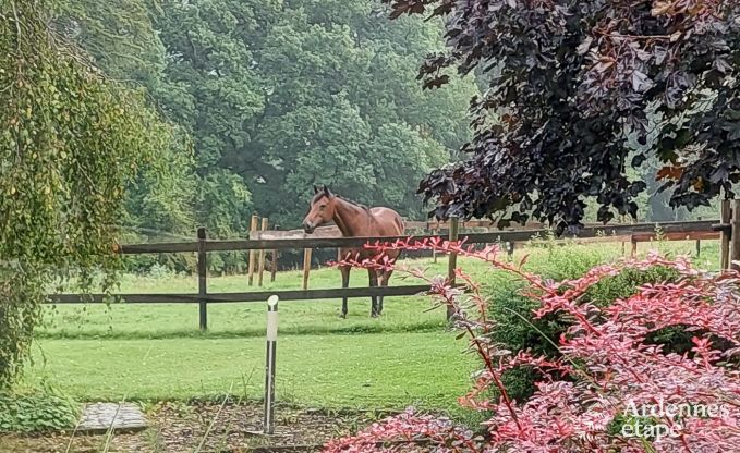 Vakantiehuis in Vielsalm voor 4/5 personen in de Ardennen
