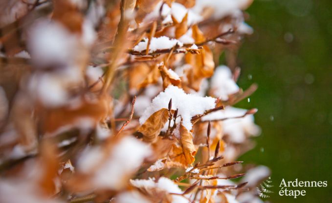 Vakantiehuis in Vielsalm voor 4/5 personen in de Ardennen