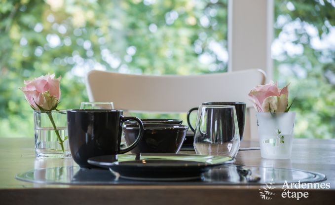 Vakantiehuis in Vielsalm voor 9 personen in de Ardennen