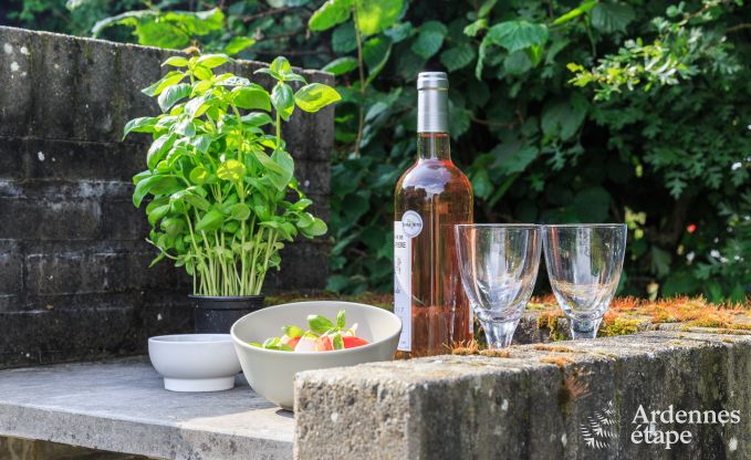 Vakantiehuis in Vielsalm voor 9 personen in de Ardennen