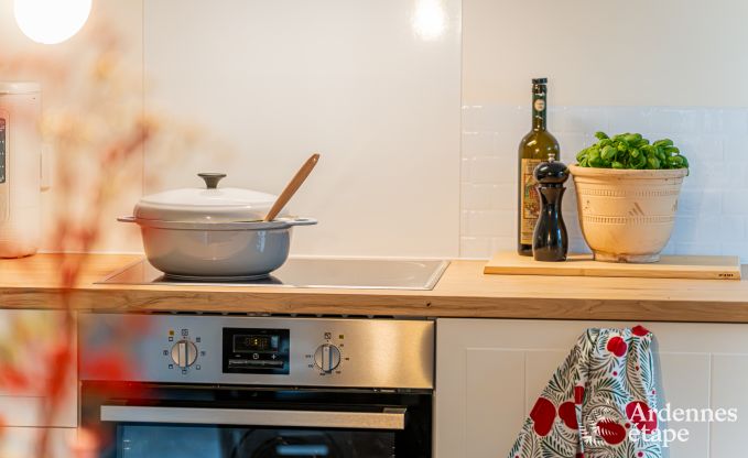 Charmant vakantiehuis voor gezinnen in Vielsalm,  Ardennen