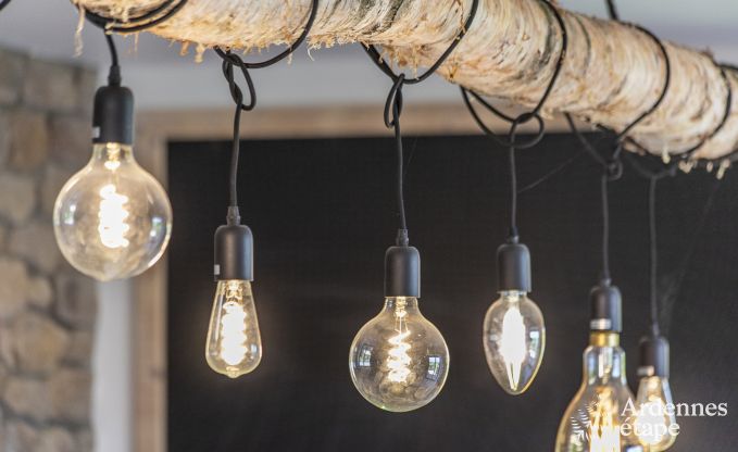 Vakantiehuis in Vielsalm voor 14 personen in de Ardennen