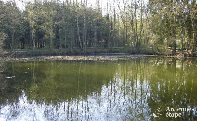 Vakantiehuis in Vielsalm voor 4/5 personen in de Ardennen