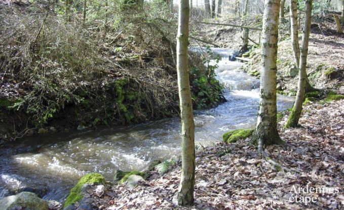 Vakantiehuis in Vielsalm voor 4/5 personen in de Ardennen