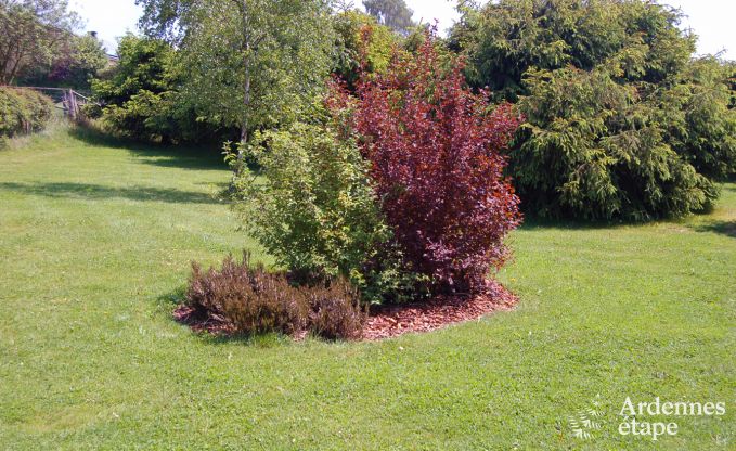 Groot vakantiehuis vlakbij Vielsalm voor 21 personen met 7 slaapkamers, 4 badkamers, speelruimte en priv�tuin