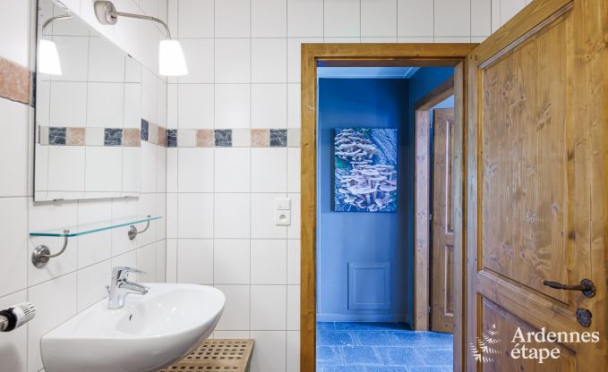 Vakantiehuis in Vielsalm voor 20 personen in de Ardennen