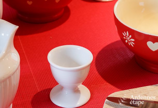 Vakantiehuis in Vielsalm voor 10 personen in de Ardennen