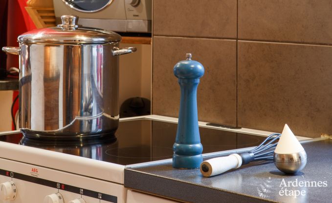 Vakantiehuis in Vielsalm voor 10 personen in de Ardennen