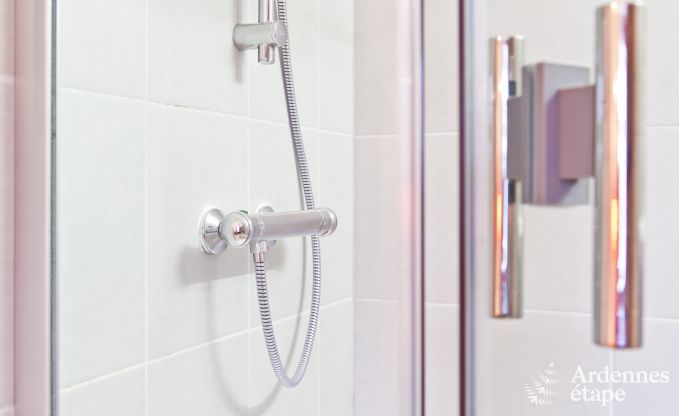 Vakantiehuis in Vielsalm voor 10 personen in de Ardennen