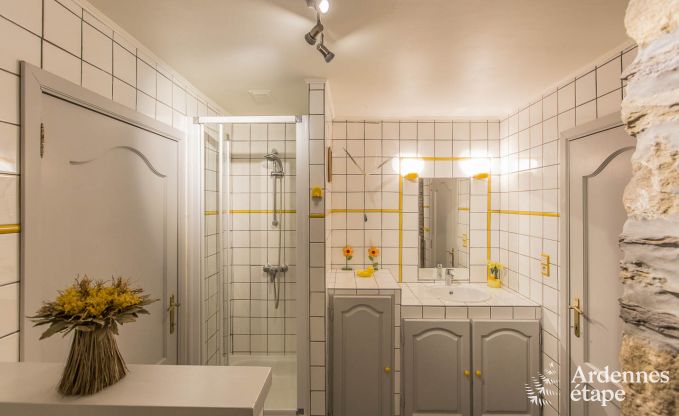 Vakantiehuis in Vielsalm voor 12 personen in de Ardennen