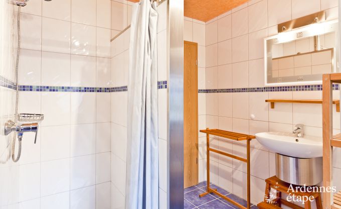 Vakantiehuis in Vielsalm voor 10 personen in de Ardennen