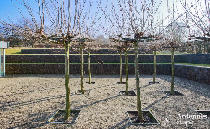 Vakantiehuis in Vielsalm voor 4/6 personen in de Ardennen