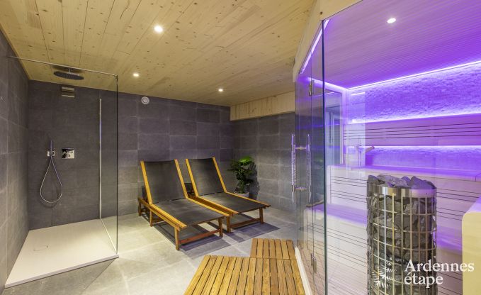 Vakantiehuis in Vielsalm voor 12 personen in de Ardennen