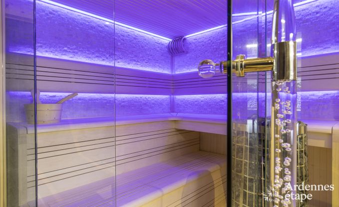 Vakantiehuis in Vielsalm voor 12 personen in de Ardennen