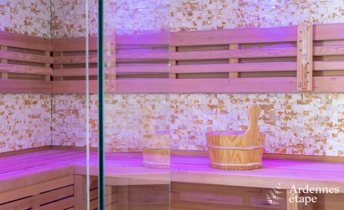 Comfortabel en modern vakantiehuis in  het bos, Vielsalm - Ardennen.