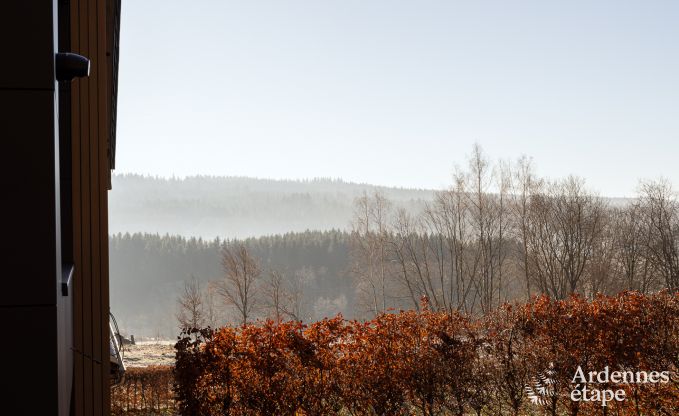 Comfortabel en modern vakantiehuis in  het bos, Vielsalm - Ardennen.