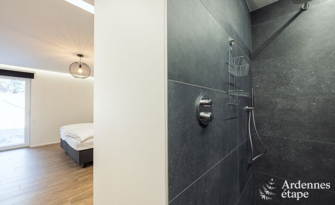Comfortabel en modern vakantiehuis in  het bos, Vielsalm - Ardennen.