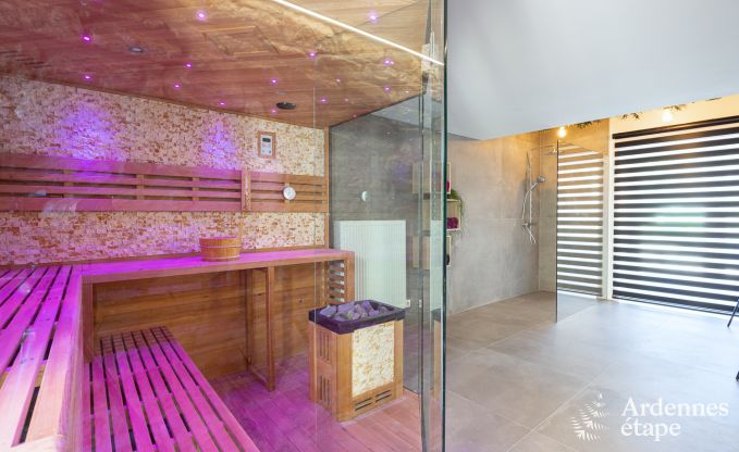 Comfortabel en modern vakantiehuis in  het bos, Vielsalm - Ardennen.