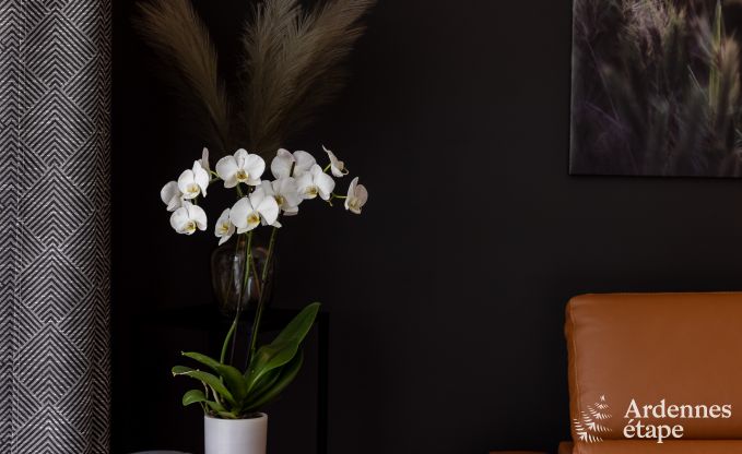 Vakantiehuis in Vielsalm voor 14 personen in de Ardennen