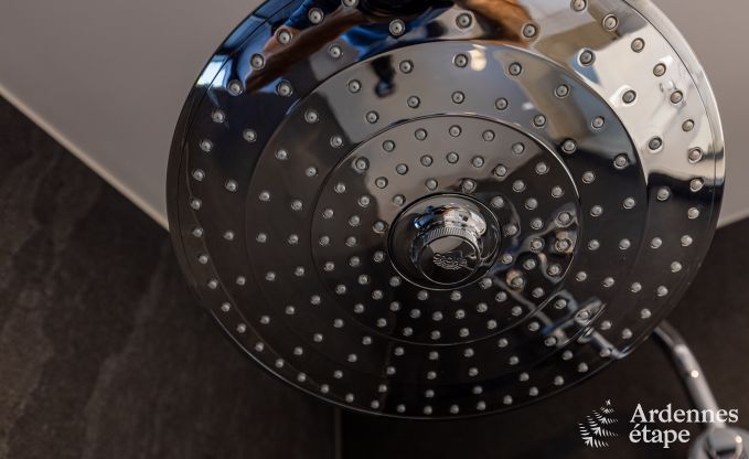 Vakantiehuis in Vielsalm voor 14 personen in de Ardennen