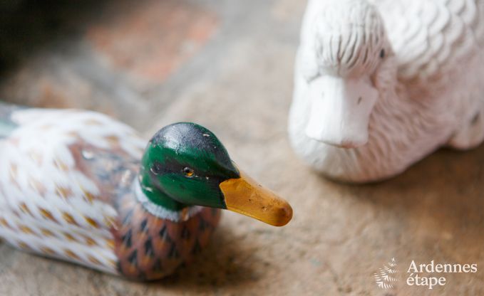 Appartement in Vielsalm voor 2 personen in de Ardennen