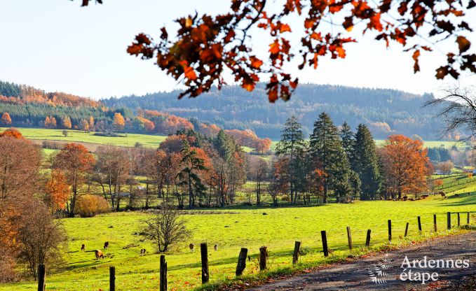 Vakantiehuis in Vielsalm voor 13/14 personen in de Ardennen