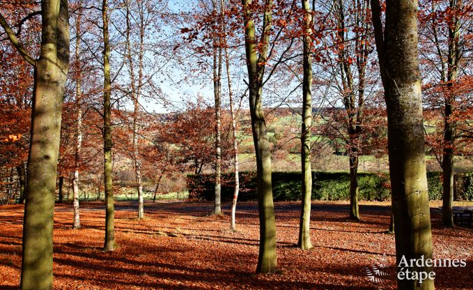 Vakantiehuis in Vielsalm voor 13/14 personen in de Ardennen