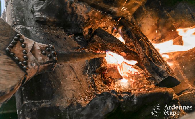 Vakantiehuis in Vielsalm voor 6 personen in de Ardennen
