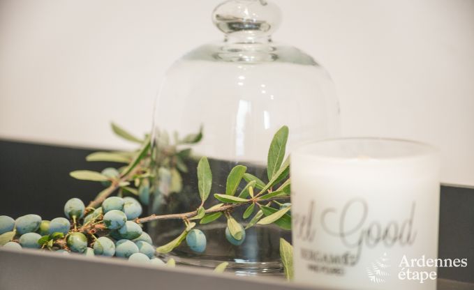 Vakantiehuis in Vielsalm voor 9 personen in de Ardennen