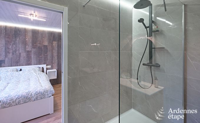 Vakantiehuis in Vielsalm voor 12 personen in de Ardennen