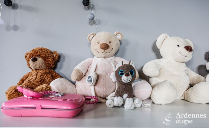 Vakantiehuis in Vielsalm voor 20 personen in de Ardennen