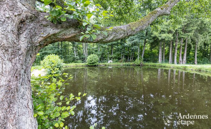 Vakantiehuis in Vielsalm voor 30 personen in de Ardennen