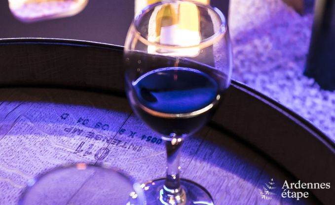 Vakantiehuis in Vielsalm voor 30 personen in de Ardennen