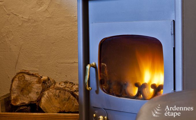 Vakantiehuis in Vielsalm voor 10 personen in de Ardennen