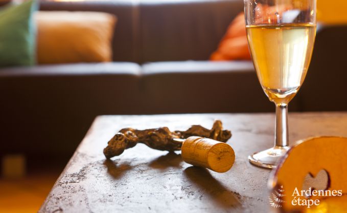 Vakantiehuis in Vielsalm voor 10 personen in de Ardennen