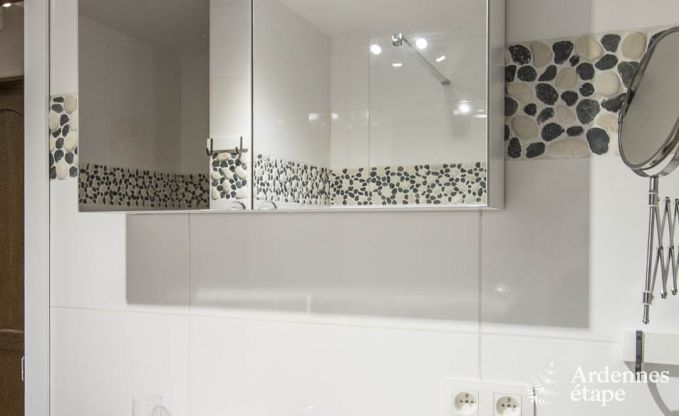 Vakantiehuis in Vielsalm voor 12 personen in de Ardennen