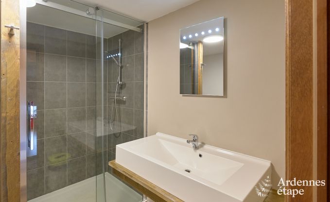 gezellige vakantiewoning met 5 slaapkamers, jacuzzi, sauna en priv� tuin in Vielsalm Ardennen