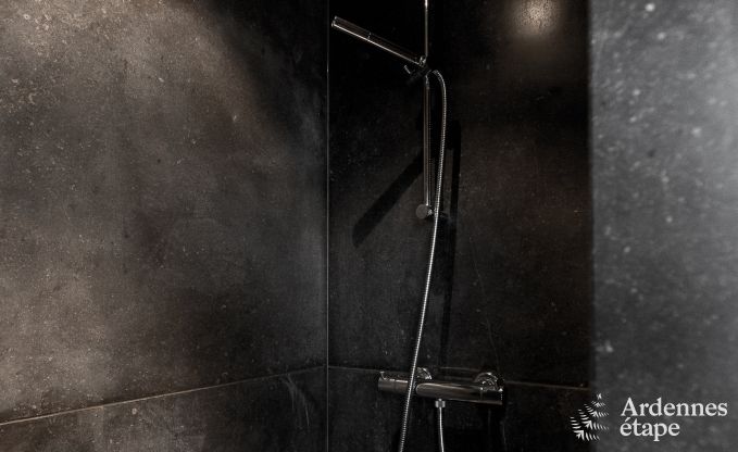 Vakantiehuis in Vielsalm voor 9 personen in de Ardennen