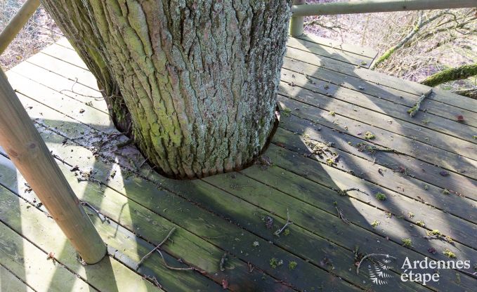 Vakantiehuis in Vielsalm voor 9 personen in de Ardennen