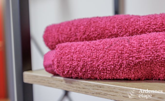 Vakantiehuis in Vierves-sur-Viroin voor 18/20 personen in de Ardennen