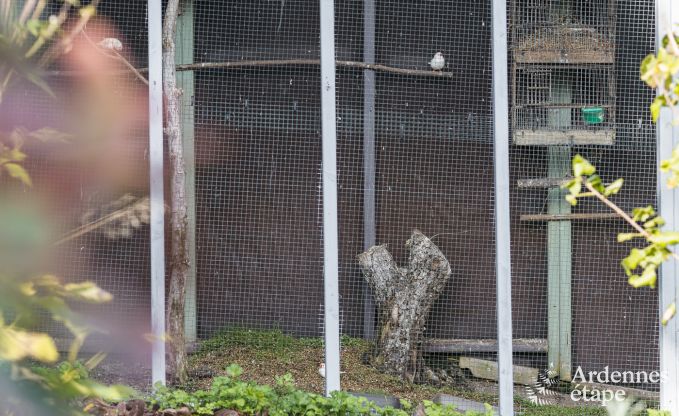 Knus vakantiehuis met priv�tuin in pittoresk Vierves-sur-Viroin voor 4 personen