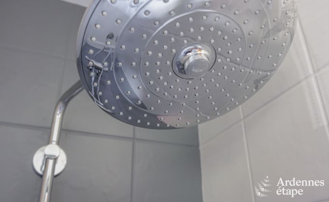 Vakantiehuis in Virelles voor 6 personen in de Ardennen