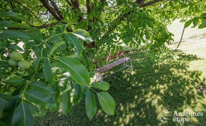 Vakantiehuis in Virelles voor 6 personen in de Ardennen