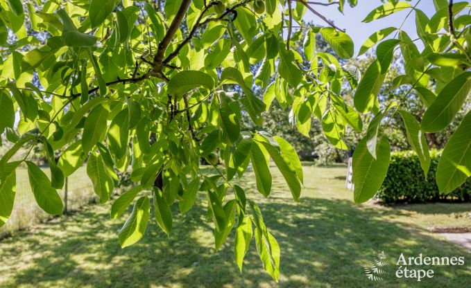 Vakantiehuis in Virelles voor 6 personen in de Ardennen