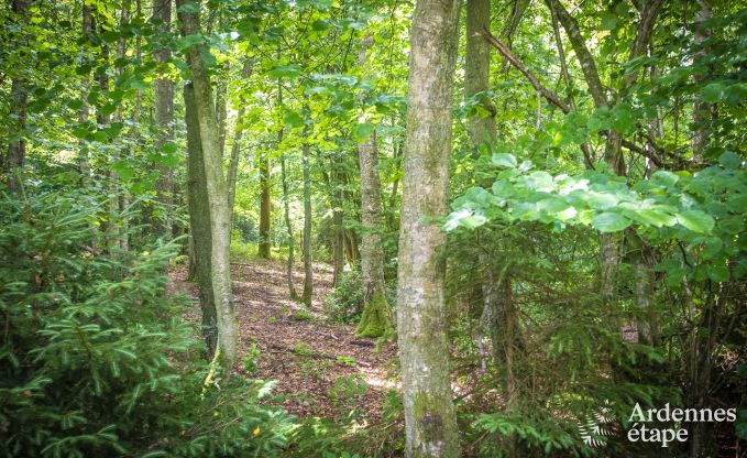 Chalet in Viroinval voor 6 personen in de Ardennen