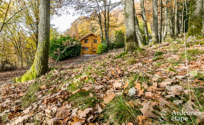 Chalet in Viroinval voor 6/8 personen in de Ardennen
