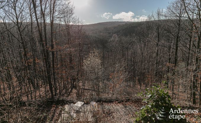 Chalet in Viroinval voor 6/8 personen in de Ardennen