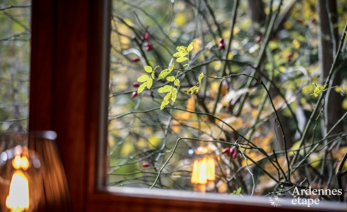 Chalet in Viroinval voor 6/8 personen in de Ardennen